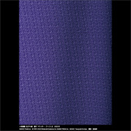 こんなサンダース、見たことある！？ 「ポケモン×工芸展」が金沢で開催、作品の写真を見るだけでワクワクが止まらない