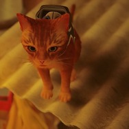 年末年始にサイバーパンク猫ADV『Stray』を遊ぶ前に気を付けたい、いくつかのこと【子猫スクショあり（再）】