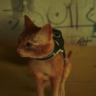 年末年始にサイバーパンク猫ADV『Stray』を遊ぶ前に気を付けたい、いくつかのこと【子猫スクショあり（再）】