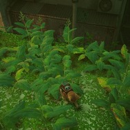 年末年始にサイバーパンク猫ADV『Stray』を遊ぶ前に気を付けたい、いくつかのこと【子猫スクショあり（再）】