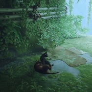 年末年始にサイバーパンク猫ADV『Stray』を遊ぶ前に気を付けたい、いくつかのこと【子猫スクショあり（再）】