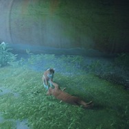 年末年始にサイバーパンク猫ADV『Stray』を遊ぶ前に気を付けたい、いくつかのこと【子猫スクショあり（再）】