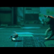 年末年始にサイバーパンク猫ADV『Stray』を遊ぶ前に気を付けたい、いくつかのこと【子猫スクショあり（再）】