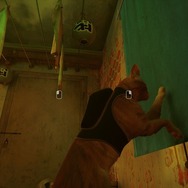 年末年始にサイバーパンク猫ADV『Stray』を遊ぶ前に気を付けたい、いくつかのこと【子猫スクショあり（再）】