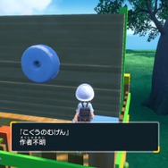 8年越しの伏線回収！？『ポケモンSV』ボウルタウンの展示物を制作した名もなき芸術家はホウエンにいた！