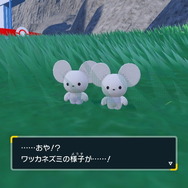『ポケモンSV』デカヌチャン、ワッカネズミの作者は『剣盾』主人公も手がけた人気デザイナー！キュートなファンアート公開