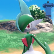 『ポケモンSV』での「エルレイド」超強化を語りたい！相性抜群の新特性「きれあじ」が起こした革命