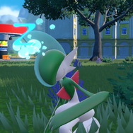 『ポケモンSV』での「エルレイド」超強化を語りたい！相性抜群の新特性「きれあじ」が起こした革命