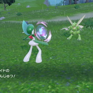 『ポケモンSV』での「エルレイド」超強化を語りたい！相性抜群の新特性「きれあじ」が起こした革命