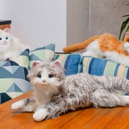 見た目から鳴き声まで、本物そっくり！ペットロボット「あまえんぼうねこちゃん」に新色アイスグレーが1月11日から登場