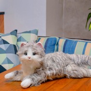 見た目から鳴き声まで、本物そっくり！ペットロボット「あまえんぼうねこちゃん」に新色アイスグレーが1月11日から登場