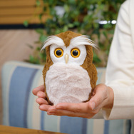 本物そっくりな癒し系ペットロボット「ハッピーふくろう」発売！運勢を占う“開運アドバイザー”としても活躍