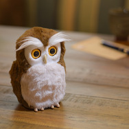 本物そっくりな癒し系ペットロボット「ハッピーふくろう」発売！運勢を占う“開運アドバイザー”としても活躍