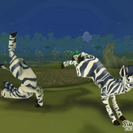 シムアニマル アフリカ