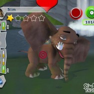 シムアニマル アフリカ