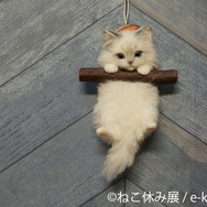 「ねこ休み展 2023 in 横浜」2月10日～11日、開催！可愛さたっぷりの写真展や、本イベントでしか買えないグッズも