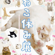 「ねこ休み展 2023 in 横浜」2月10日～11日、開催！可愛さたっぷりの写真展や、本イベントでしか買えないグッズも