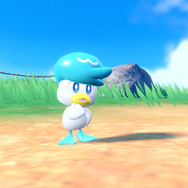 『ポケモンSV』“ニャオハ立つな”に続く「クワッス踊るな」「ホゲータ座るな」―御三家に要求された「立つな踊るな座るな」の3コンボ