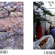 青森県弘前市のふるさと納税に、弘前公園「春陽橋」の古材を活用したスマホスタンドが登場！50台限定で生産