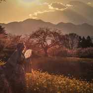 幽々子東方Project』／翠葉木（Twitter：@310re45）、撮影：uhimaru（Twitter：@uhimaru999）／Leica M-P Typ240+Summicron90mm/F2