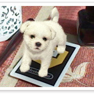 任天堂がARを活用したスマホ向け『nintendogs』を開発中か?気になる特許情報が浮上