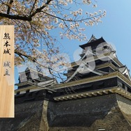 熊本出身のアイドルが城主に！「アイドルマスター シンデレラガールズ」×熊本城復興応援プロジェクトが3月1日から開催