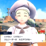 ポケモン公式Twitterから引用。