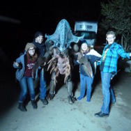 画像は「映画配給エクストリーム」公式Twitterから引用。