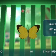 少年時代の夏休みを追体験！『なつもん！20世紀の夏休み』2023年夏に発売決定【Nintendo Direct 2023.2.9】