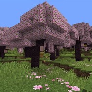 『マインクラフト』次期アプデ「桜の木」追加で「竹MOD」がTwitterトレンド入り―“かつての桜の木”を思い出すユーザーたちが続出