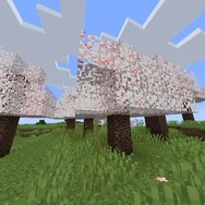 『マインクラフト』次期アプデ「桜の木」追加で「竹MOD」がTwitterトレンド入り―“かつての桜の木”を思い出すユーザーたちが続出