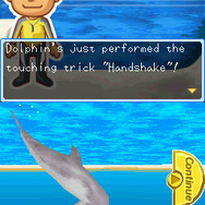 ドルフィン・フレンズ