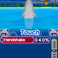 ドルフィン・フレンズ