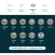 激レア色違いが、大量発生！「GOツアーホウエン（グローバル）」時間帯別の注目情報まとめ【ポケモンGO 秋田局】