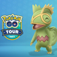 激レア色違いが、大量発生！「GOツアーホウエン（グローバル）」時間帯別の注目情報まとめ【ポケモンGO 秋田局】