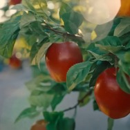 『ポケモンSV ゼロの秘宝』の舞台「キタカミの里」は、岩手県北上市がモデル！？ 地形や鬼にまつわる伝承など、多彩な考察にファンがざわめく