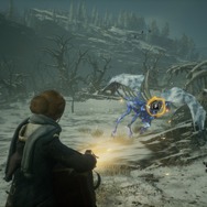 『ホグワーツ・レガシー』お金を稼ぐためならなんでもあり？金策のために魔法生物の乱獲に及ぶプレイヤーが続出