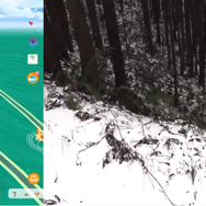 200日以上防衛されている、“雪山の秘境ジム”を撃破したらどうなる？実際に登山して試してみた【ポケモンGO 秋田局】