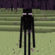 8秒間見つめ合うと恋に落ちる…但し相手は『マイクラ』のエンダーマン！ユニークな公式ツイートに、「むしろ奈落に落ちてる」と阿鼻叫喚