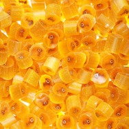 「サーモンラン」の金イクラを、金太郎飴でガチ再現!『スプラトゥーン』公式のホワイトデーネタに、イカたちの“納品欲”が掻き立てられる