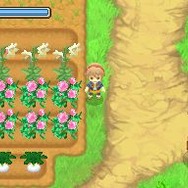 牧場物語 ふたごの村