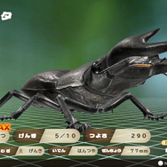 『ムシキング』ブームタッグの新作はSNSでも大注目!?甲虫バトルRPG『カブトクワガタ』発売