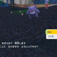“めのまえがまっくら”にならない!?『ポケモンSV』いまだに知らないプレイヤーも多いバトルの仕様
