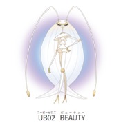 『ポケットモンスター サン・ムーン』公式サイトより