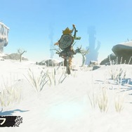 『ゼルダの伝説』最新作のキーワードは「ショートカット」!? 判明した新要素は全て、リンクの冒険を“効率的”に助けてくれる