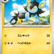 『ポケカ』デカヌチャンexが可愛く、そして恐ろしい！四災SARも登場の「スノーハザード・クレイバースト」新カード公開