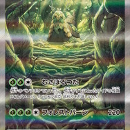 ポケモンカード 4災 SARまとめ売り ポケモン - 【ポケカ】SAR 災厄ポケモン4体コンプリートセットの