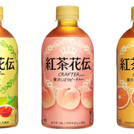 「紅茶花伝」が謎のトレンド入り…その理由はすとぷりの「さとみ」と世界的格ゲー選手の「Punk」―ゲーマーの“美しさ”と“怒り”が繋がった瞬間