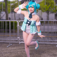 初音ミク（BiCute Bunnies 白うさぎver.）／舞陽女（Twitter：@may_xoxo15）