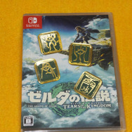 「ゼルダの伝説 ティアキン Collector's Edition」これから買う人は要注意！ そして、アートブックに「夢見の勇者服」の文字